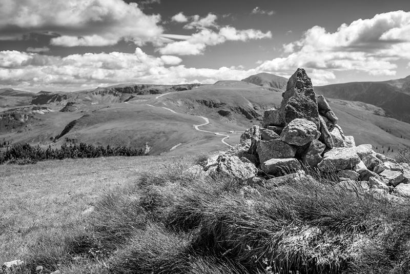 _DSC1528