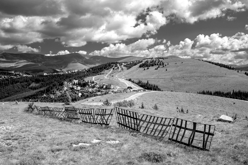 _DSC1590