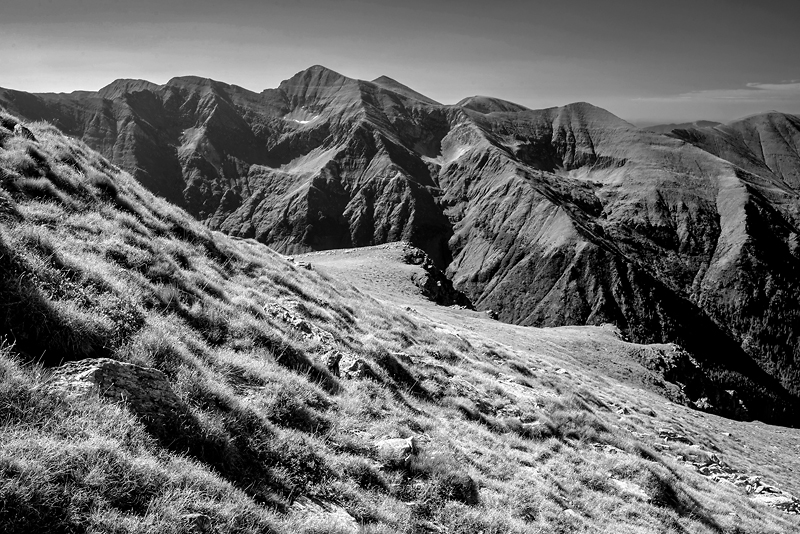 _DSC1637