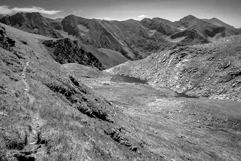_DSC1669