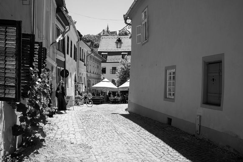_DSC1772